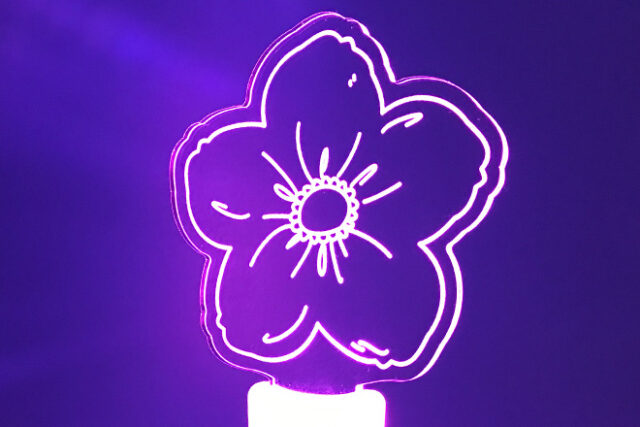 11色の光が大輪の花を幻想的に照らすアクリルペンライト
