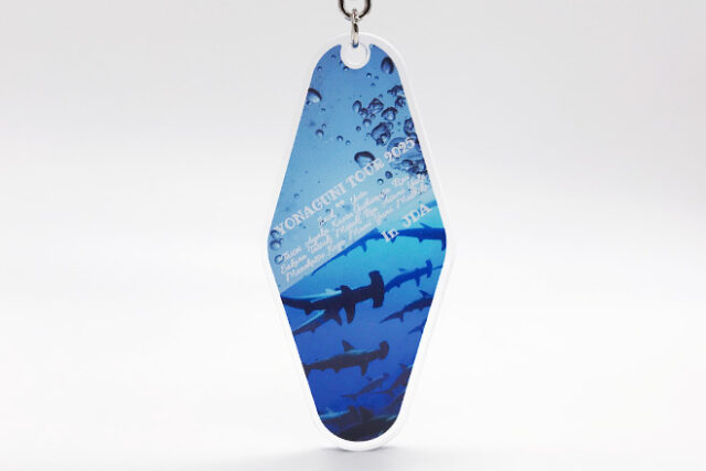 サメと気泡が漂う海の世界を切り取ったモーテルキー