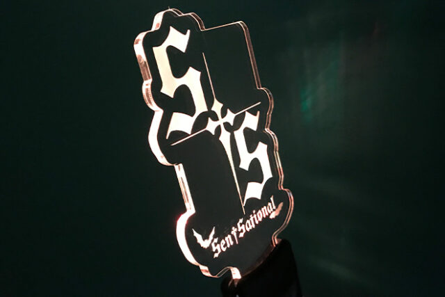 文字と鳥が交差するデザインのアクリルペンライト